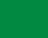 Ripstop with Adhesive - Green