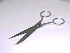 Wiss Applique Scissor - 5.25 In